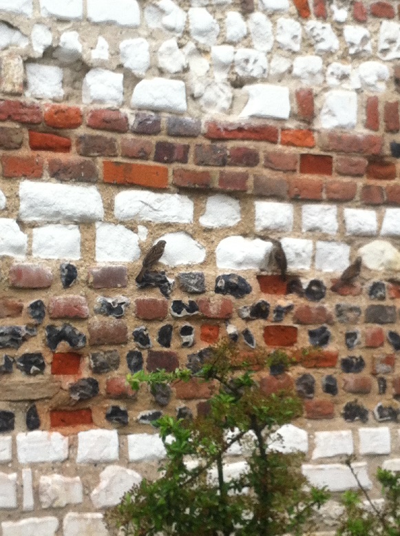 Chalk, Flint and brick repointing