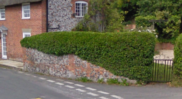 Ivy covered brick and flint wall